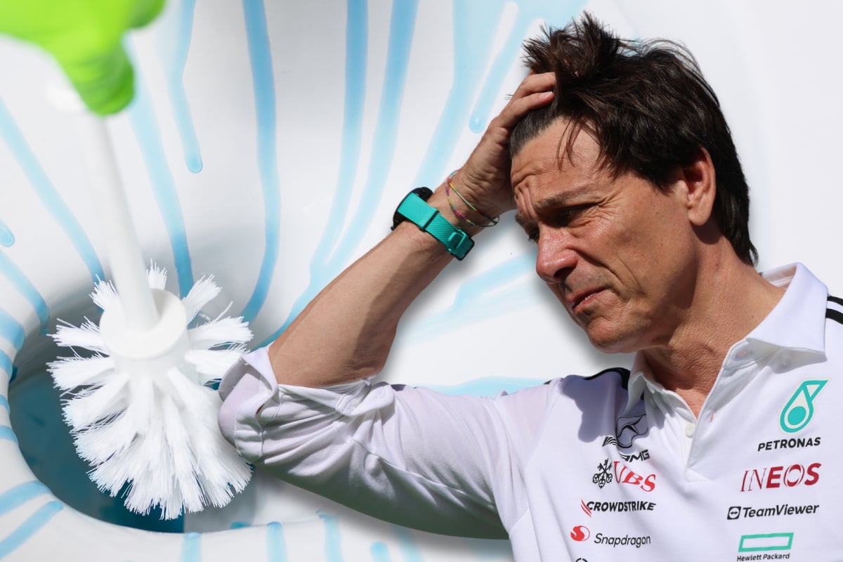 Toto Wolff looks on anxiously at a toilet being cleaned in a composite picture