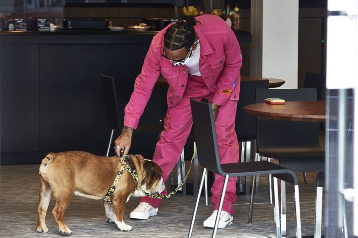 PETA roept hulp Lewis Hamilton in: 'Deze honden stikken in hun eigen braaksel'
