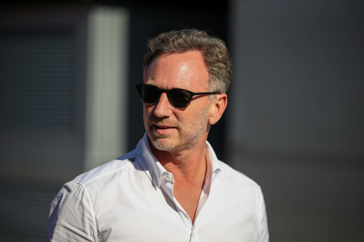 Horner angling for LARGER role at Red Bull