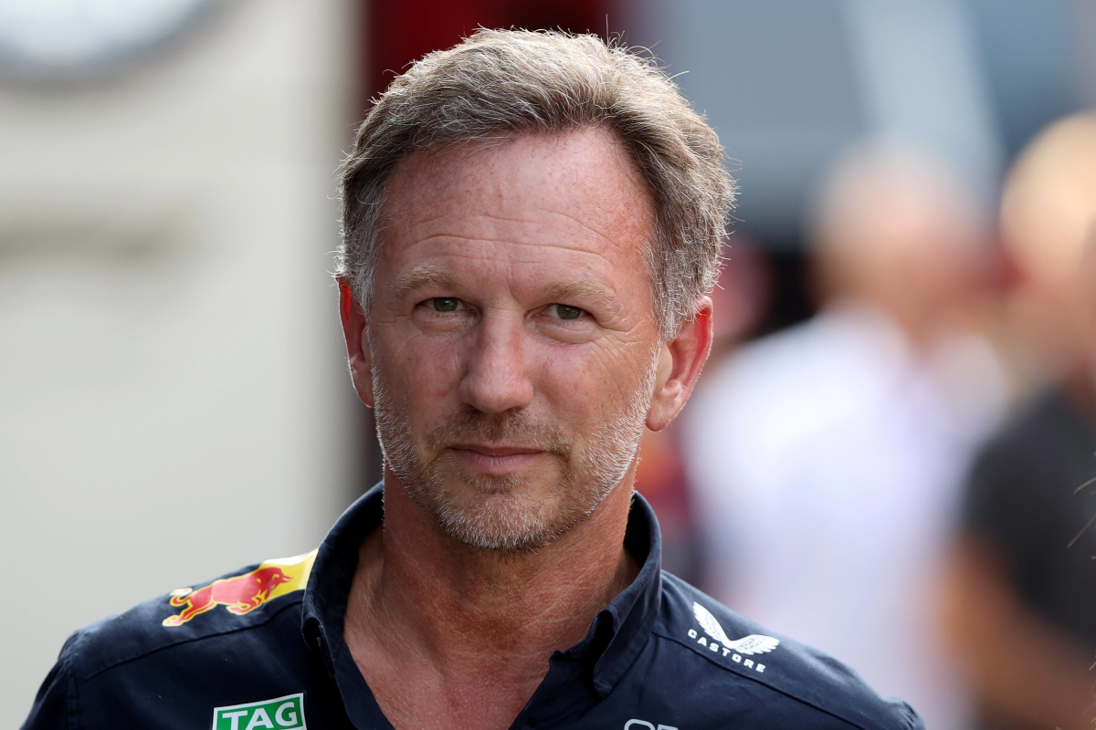 Horner zet deur op een kier voor terugkeer Ricciardo