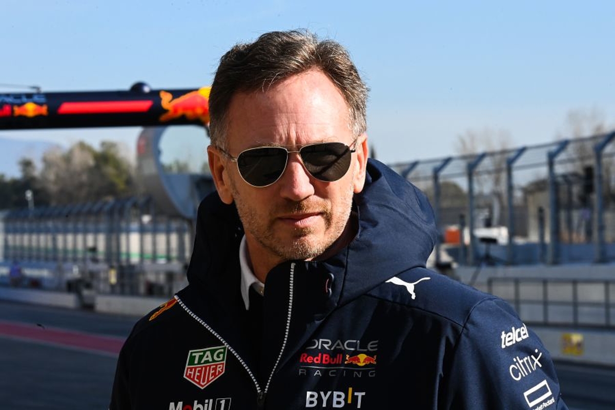 Horner over Drive to Survive: "Druk van Formule 1 wordt daardoor minder"