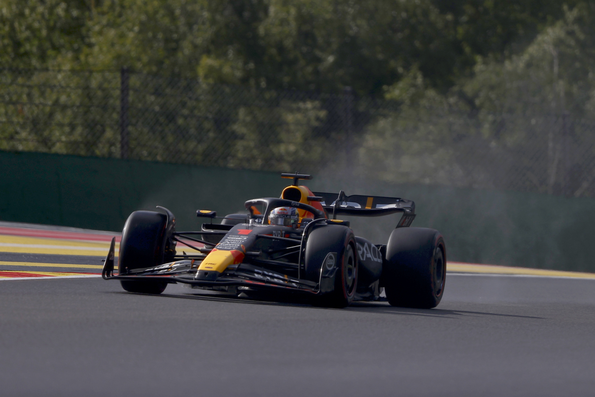 Verstappen's 'INCREDIBLE' qualifying performance praised after roller-coaster session