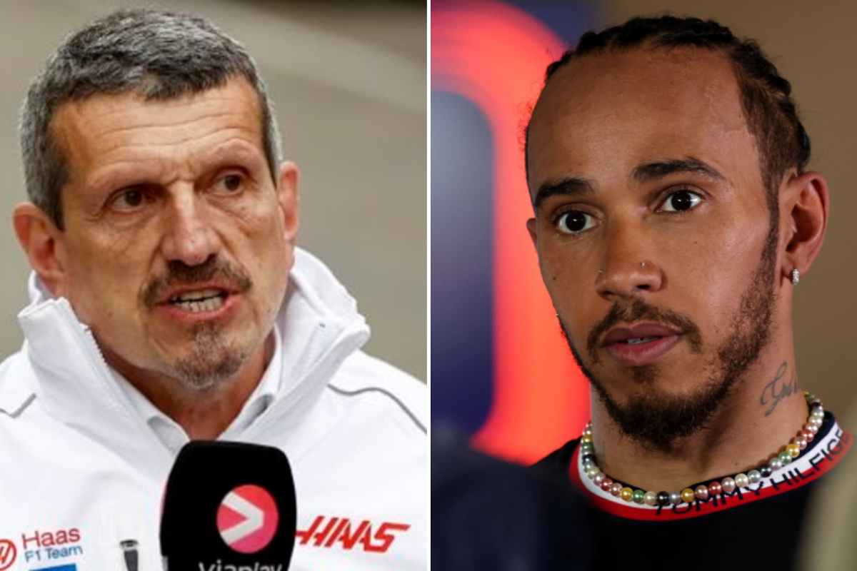 Steiner tells Hamilton fans to 'MOVE ON' and admits Wolff 'almost had a f***ing heart attack' in Abu Dhabi