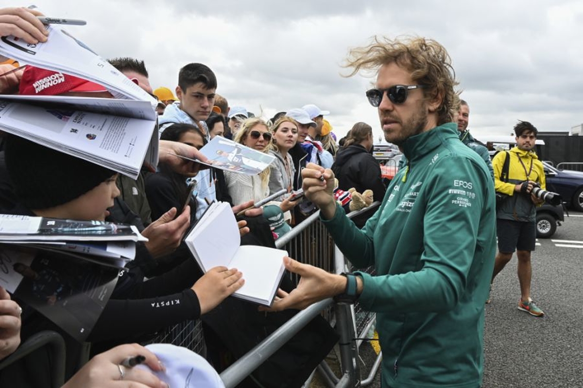 Vettel sympathy for 'desperate' F1 protesters
