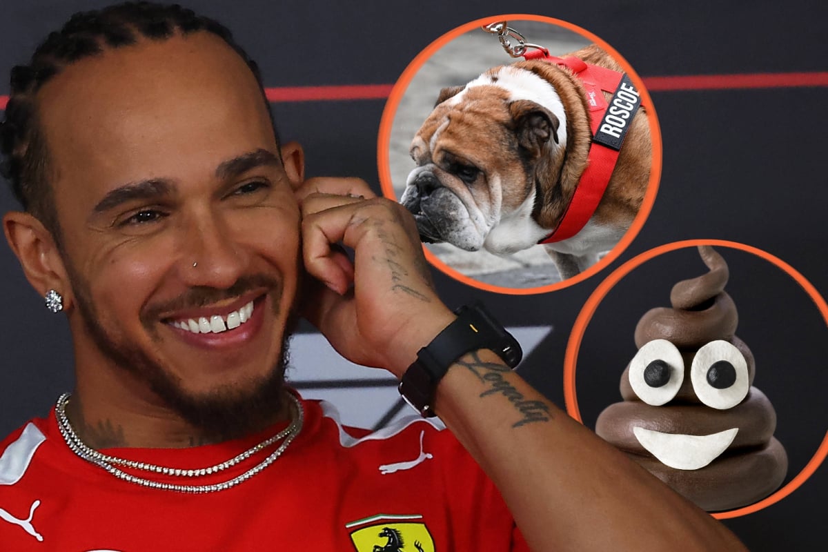 Lewis Hamilton is shown with an inset of dog Roscoe and a poop emoji