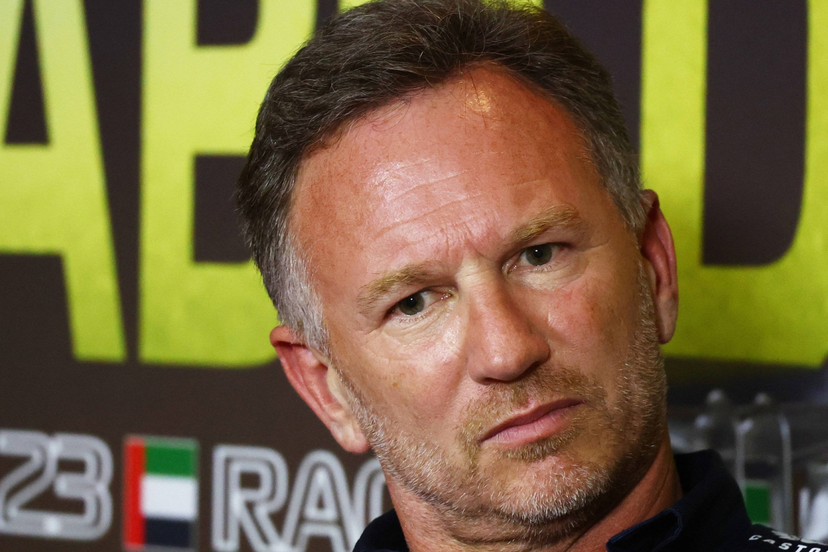 Horner and Red Bull investigation given SCATHING verdict by F1 legend