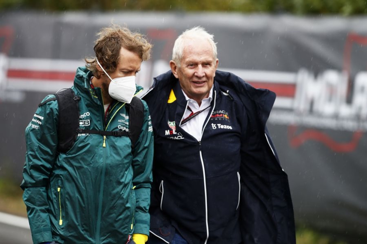 "Vettel es el sucesor ideal de Helmut Marko en Red Bull Racing"