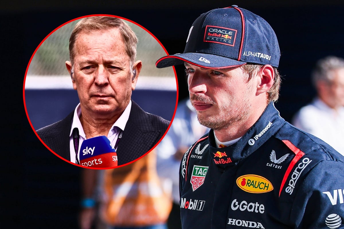 Verstappen and Brundle
