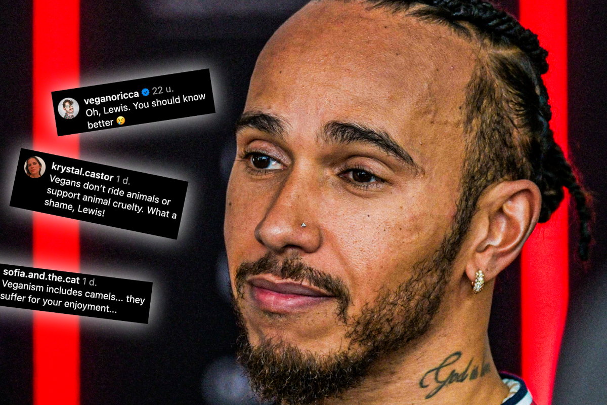 Hamilton krijgt op social media wind van voren: "Ze lijden voor jouw entertainment"