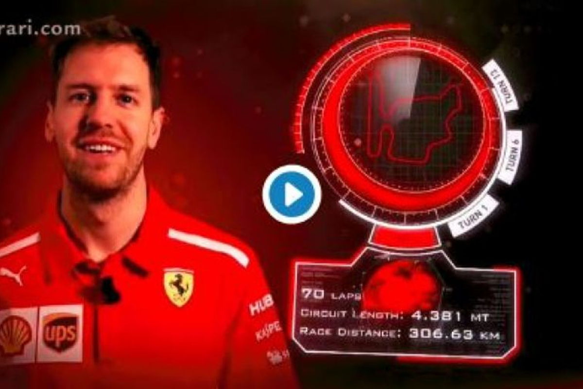 VIDEO: Vettel's Hungarian GP preview