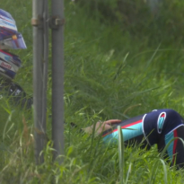'Logan Sargeant is a whole mood on his own' - F1 Twitter's best Dutch GP memes