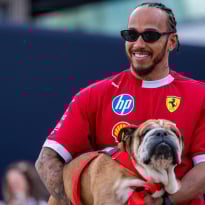 Hamilton comparte una noticia impactante y TRISTE: "Roscoe ha fallecido"