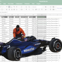 F1 team's failures blamed on Excel 'joke'