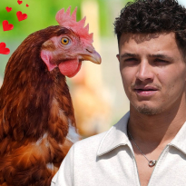 Norris sets ‘hearts racing’ as F1 star goes on celebrity date in a CHICKEN SHOP