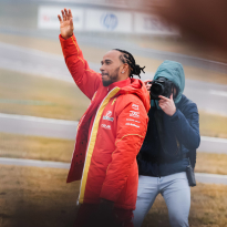 'Un tifoso di Hamilton in Italia distrugge un albero per vedere il britannico, la polizia lo multa'