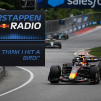 'FAO PETA' - F1 Twitter snitches on Verstappen after killing a bird in Canadian GP