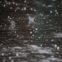 NASCAR Weather: Cup qualifying OFF at Talladega as rain and thunderstorms forecast