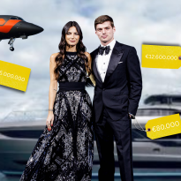 Max Verstappen's lavish £75MILLION assets revealed including kittens 'Toto and Lewis'