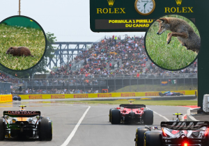 Ranked: The best 'F1 animals' of all time – The Tournament