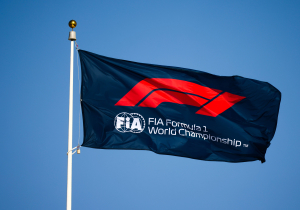 F1 champ admits losing driving licence (probably for good)