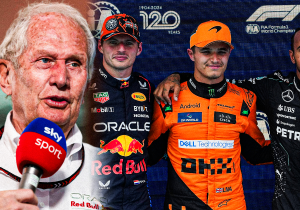Marko zag Verstappen ervoor werken: "66 rondjes op de absolute limiet"