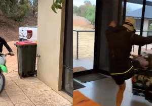 Daniel Ricciardo tovert woonkamer om tot 'parkourbaan'