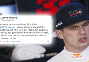 Verstappen onder vuur op social media, krijgt steun van Norris