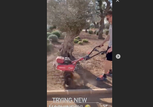 Hülkenberg maait het gras alvast voor de voeten van de concurrentie weg