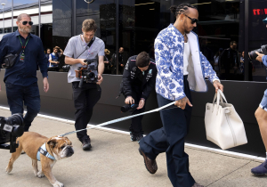 Hamilton makes health announcement for beloved dog Roscoe