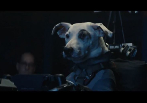 Formula 1-themed Chemical Brothers video featuring driving dog is bizarre, bonkers and brilliant