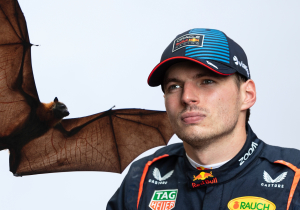 Verstappen makes bizarre bat claim