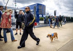 Lewis Hamilton announces tragic death of beloved bulldog Roscoe