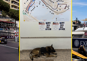 Organisatie in Monaco schakelt explosievenhond in tijdens Grand Prix-weekend