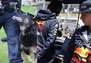 Politie doet met speurhond onderzoek in Red Bull-garage na winst Verstappen