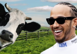 Lewis Hamilton got a cow and you will not believe what it is called