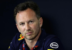 Horner sides with Verstappen in Ricciardo row