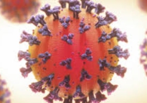 Haas kan opgelucht ademhalen: tests zijn negatief