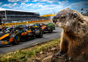 Why are there so many groundhogs at the Canadian Grand Prix?