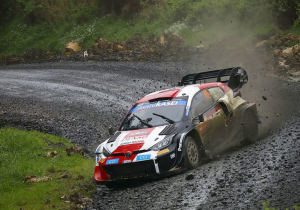 WRC champion hints at future F1 drive after Hakkinen, Coulthard meeting