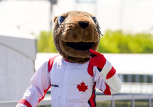Gasly volgt Albon op en rijdt ook bosmarmot aan in Canada