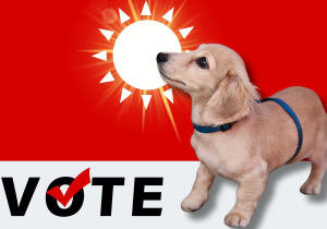 Why Leo Leclerc is the cutest dog in the F1 paddock - bar none