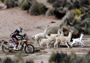DAKAR: Etappe van morgen gaat vanwege slechte weersomstandigheden niet door