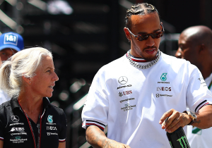 Hamilton fans go wild over possible Cullen REUNION