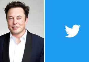 Hall of Shame? The TWO F1 drivers revealed to be paying for Twitter Blue