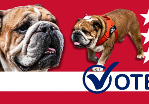 Why Lewis Hamilton’s dog Roscoe is the cutest F1 pooch