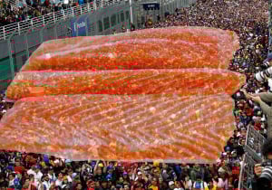 F1 pundit claims fans have 'backbone of a dead salmon'