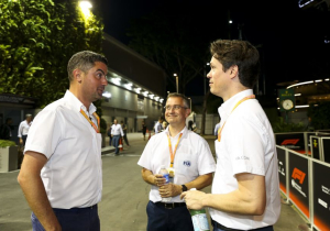 FIA verrast door positiviteit zwart-witte vlag: "Is geen nieuwe uitvinding"