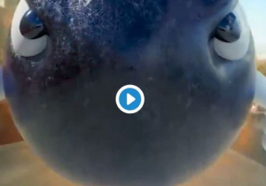 VIDEO: Formula E brings Mario Kart to life!