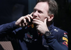 'Marmite character' Hamilton is deserving champion - Horner