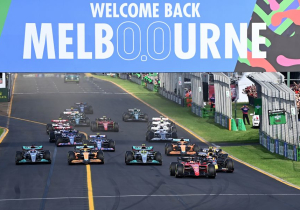 How F1 brains 'forgot' about critical regulation danger